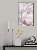 Peony 15 Poster och Canvastavla