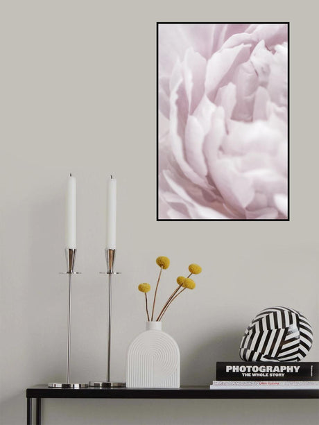 Peony 15 Poster och Canvastavla