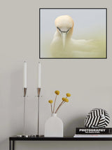 Looking at me Poster och Canvastavla