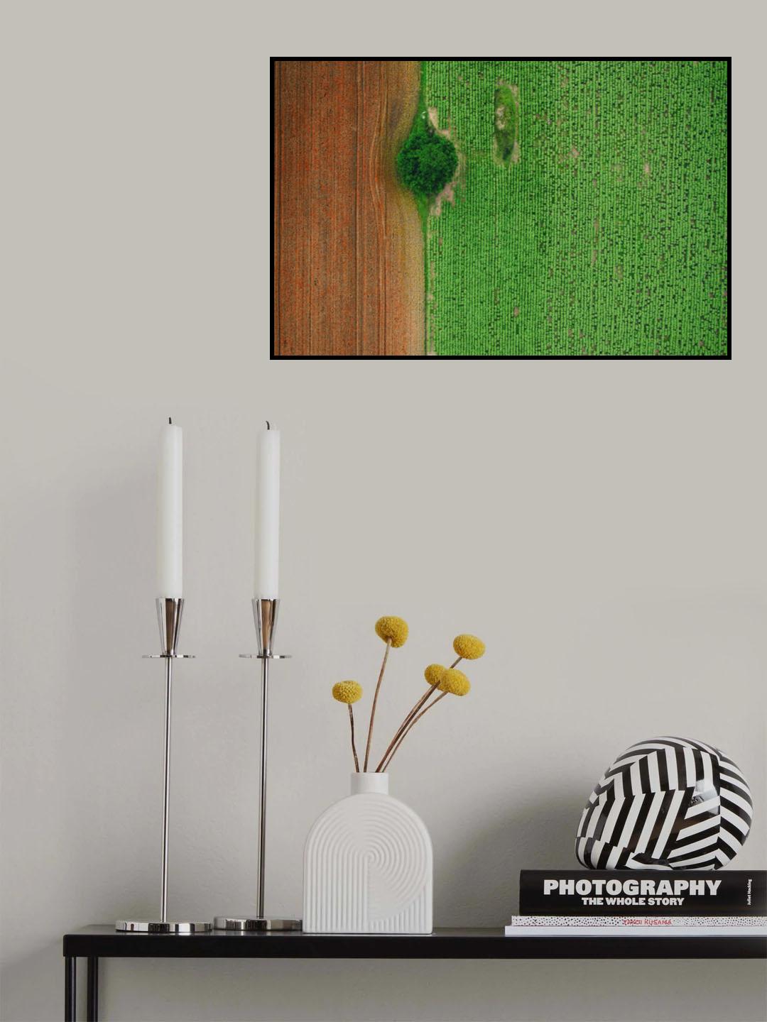 Imperfect Poster och Canvastavla