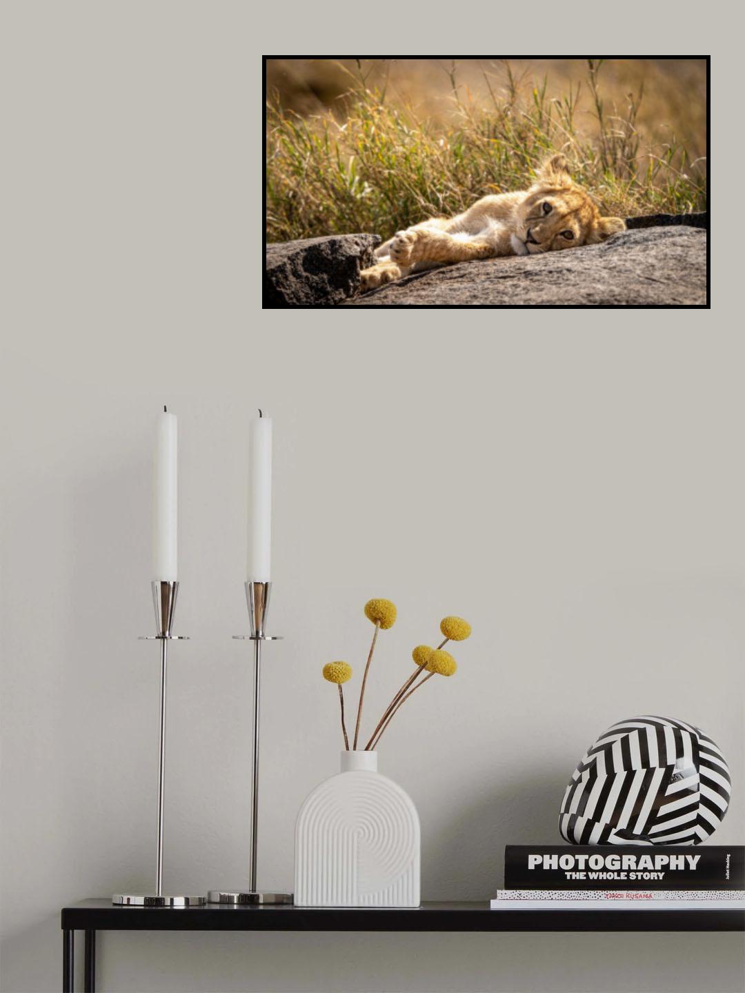 The next Lion King Poster och Canvastavla