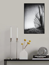 No (of)fence in the dunes Poster och Canvastavla