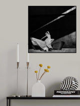 Dancing with the light Poster och Canvastavla