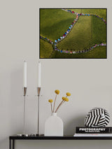 Rice umbrella Poster och Canvastavla