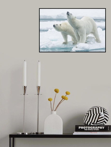 Polar bears, mother and son Poster och Canvastavla