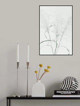 Dried Grass_green Poster och Canvastavla