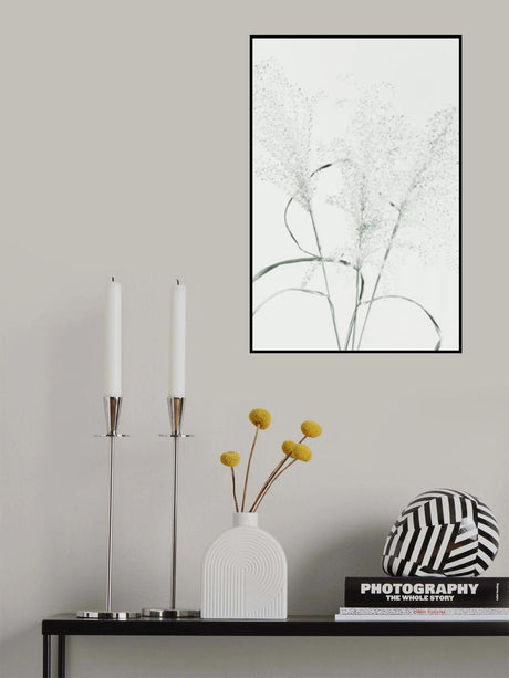 Dried Grass_green Poster och Canvastavla