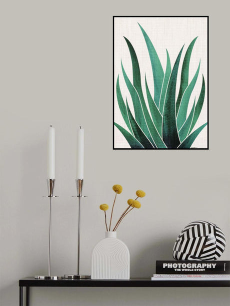 Desert Agave Cactus Poster och Canvastavla