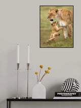 Love at first sight Poster och Canvastavla