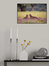 Spring kiss Poster och Canvastavla