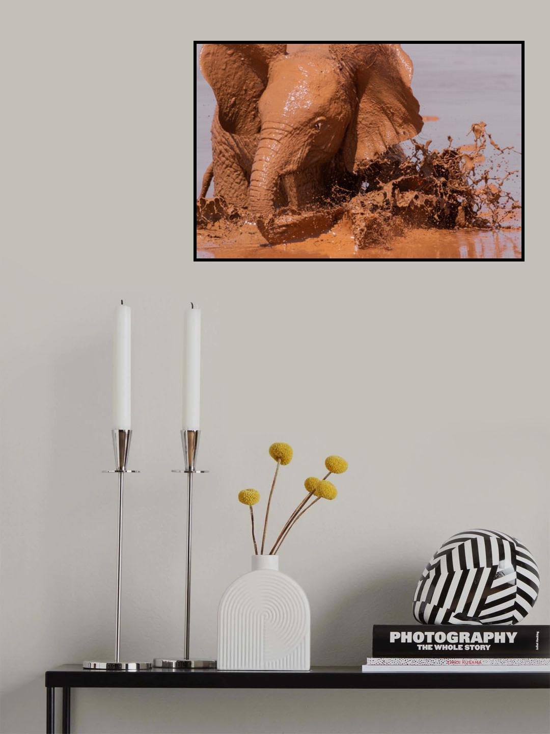 Light and mud Poster och Canvastavla