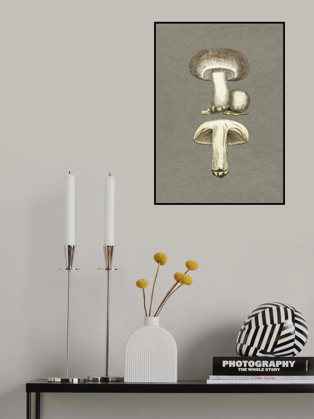 Field Mushroom Poster och Canvastavla