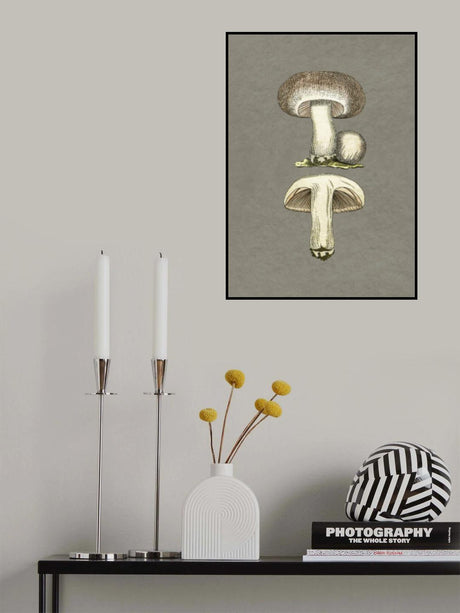 Field Mushroom Poster och Canvastavla