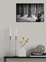 winter is coming Poster och Canvastavla