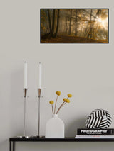 Forest Light Poster och Canvastavla
