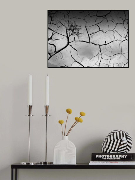 Living in a drought Poster och Canvastavla