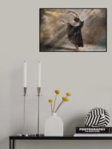 State of Valentine Poster och Canvastavla