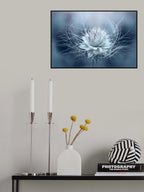 Love-in-a-mist Poster och Canvastavla