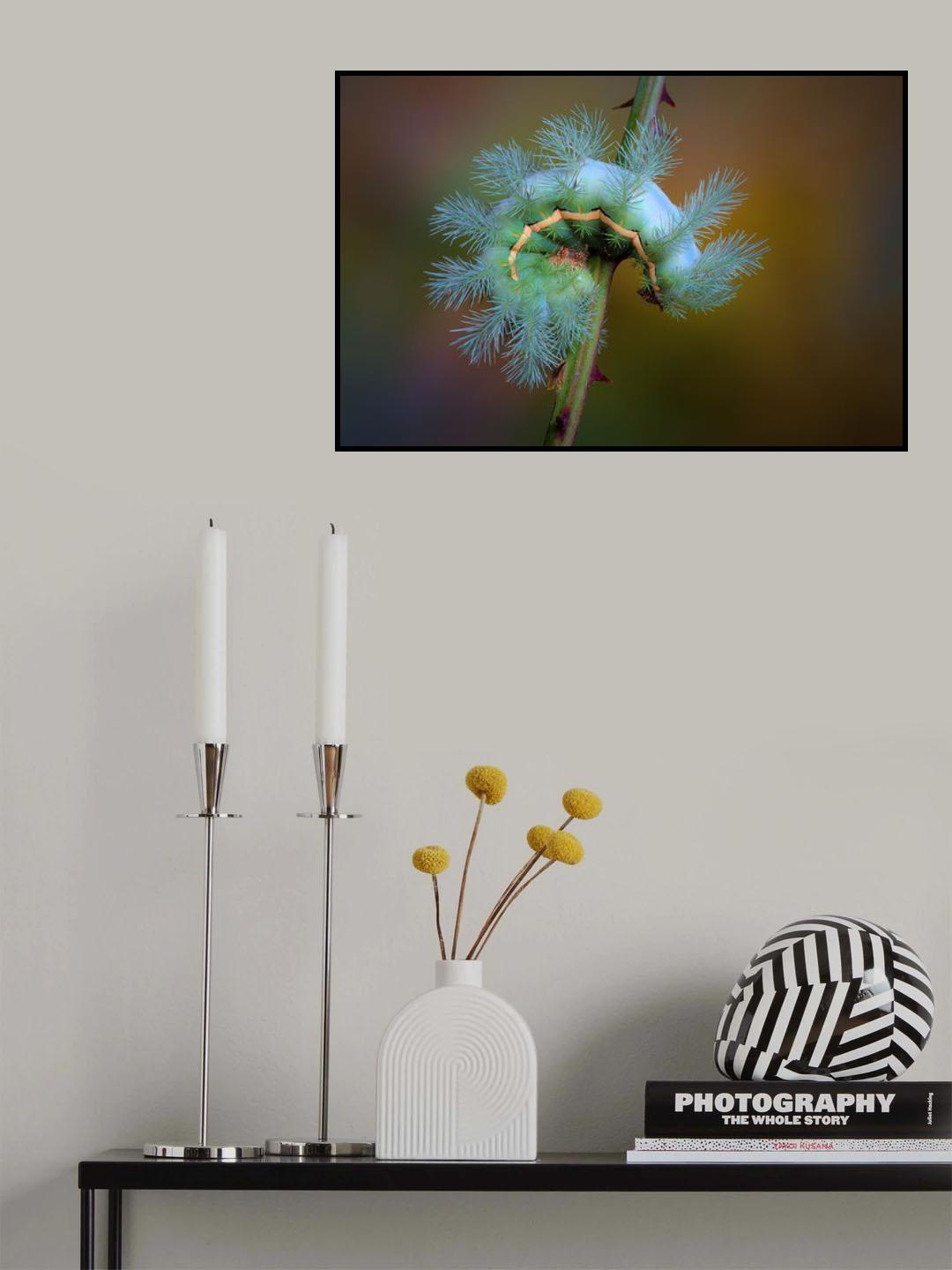 Stinging caterpillar Poster och Canvastavla