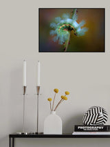 Stinging caterpillar Poster och Canvastavla