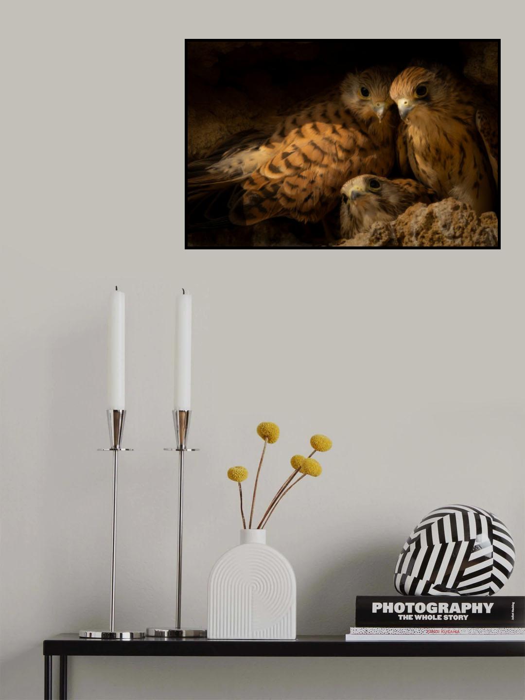 The three brothers Poster och Canvastavla