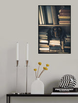 Der kleine Bibliothekar - Little Librarian Poster och Canvastavla