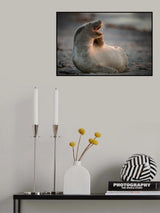 You make me laugh...... Poster och Canvastavla