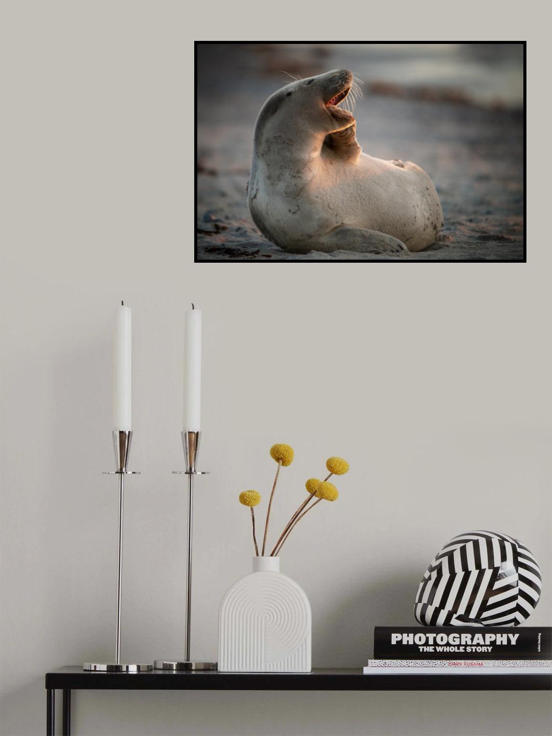 You make me laugh...... Poster och Canvastavla