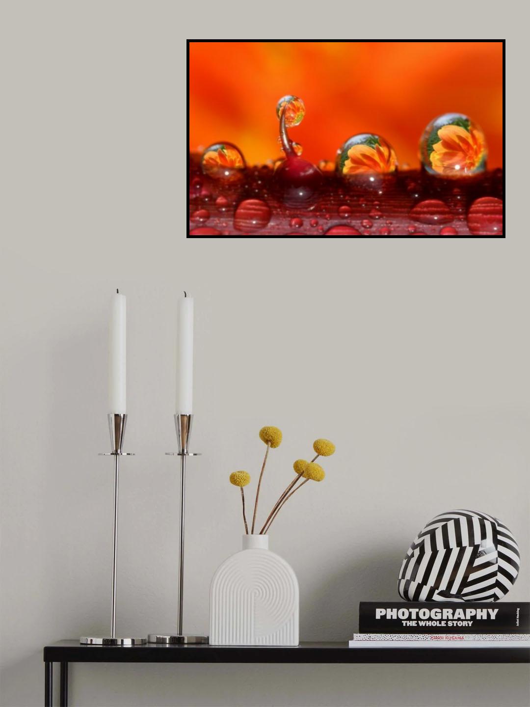 dew Poster och Canvastavla