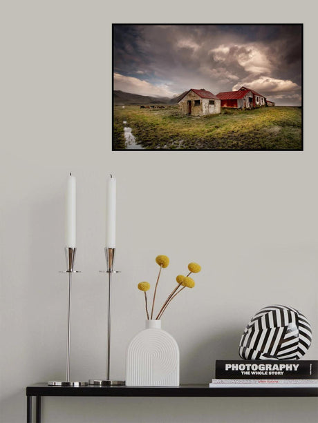 Björnskot Poster och Canvastavla