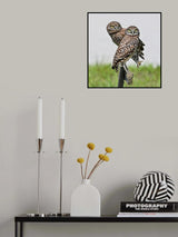 Crossed Poster och Canvastavla