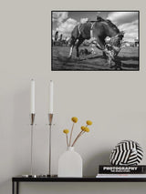 Rodeo Poster och Canvastavla