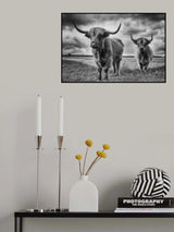 Highlands Poster och Canvastavla