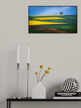 Lone Tree Poster och Canvastavla
