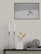 Poster och Canvastavla