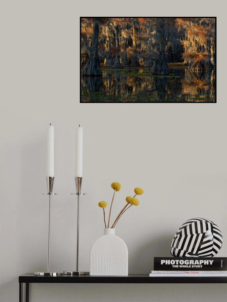 caddo lake Poster och Canvastavla