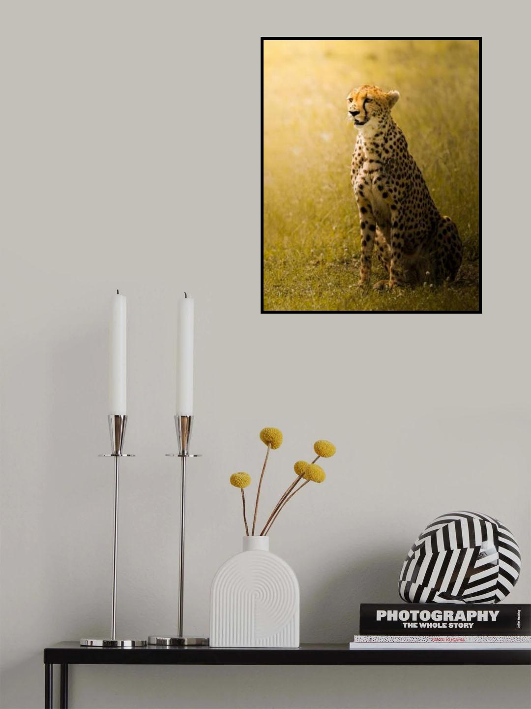 Stay Back Poster och Canvastavla