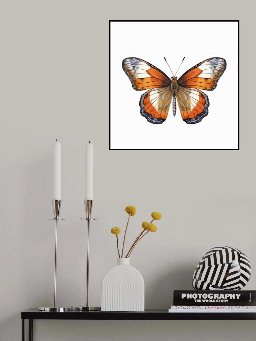 Butterfly 34 Poster och Canvastavla