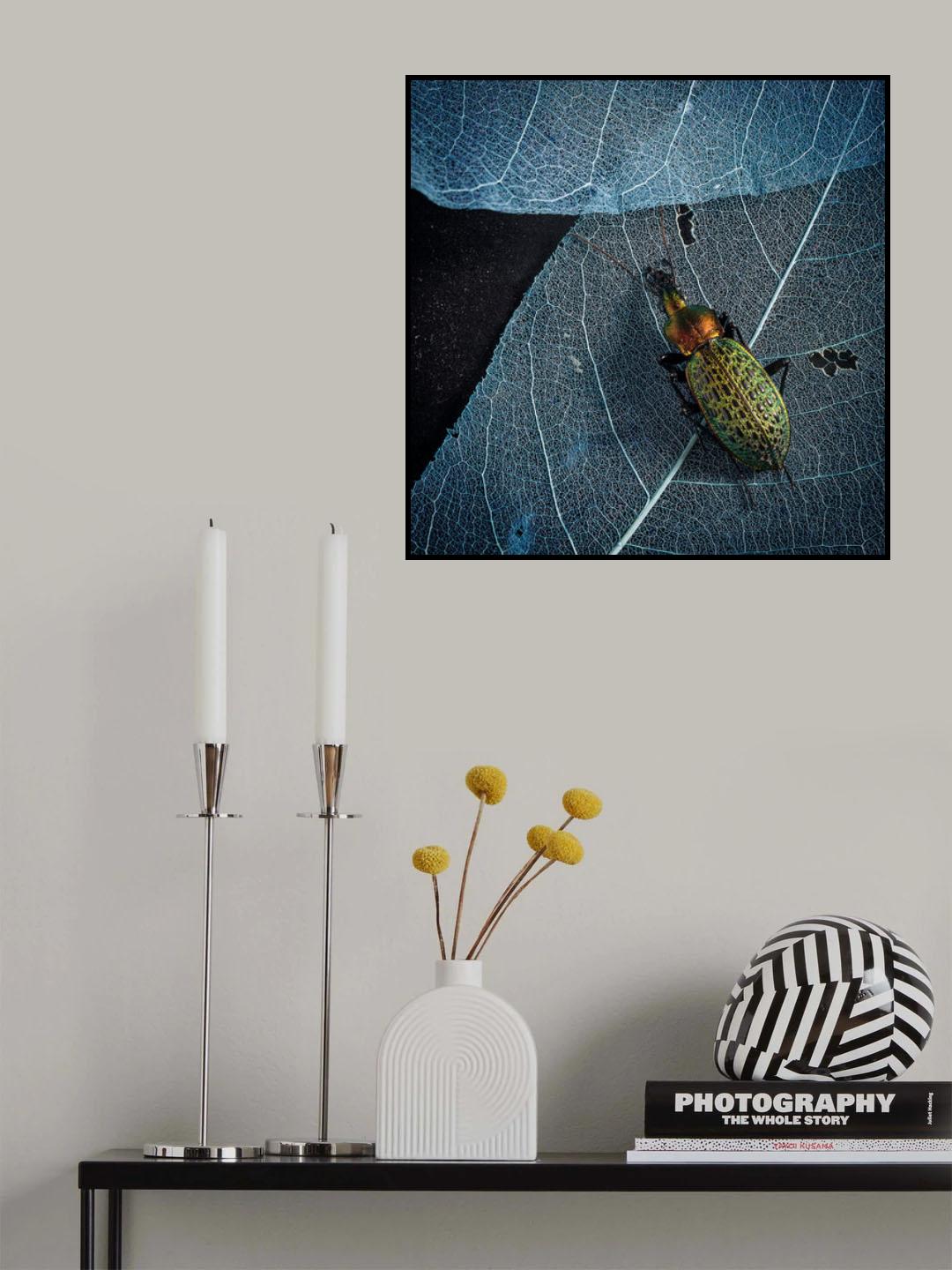 A beautiful insect Poster och Canvastavla
