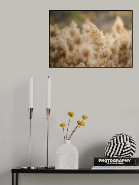 reed flower Poster och Canvastavla