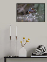 The phantom water Poster och Canvastavla