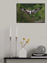 Nesting Time !!! Poster och Canvastavla