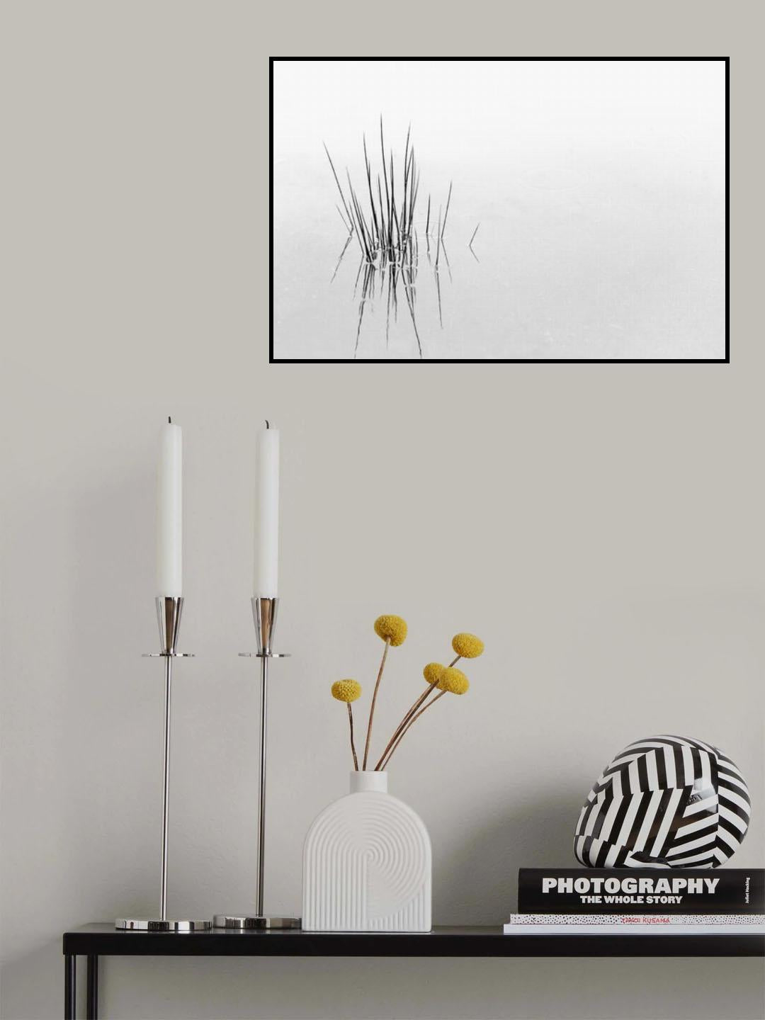 REFLECTIONS Poster och Canvastavla