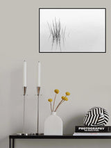 REFLECTIONS Poster och Canvastavla