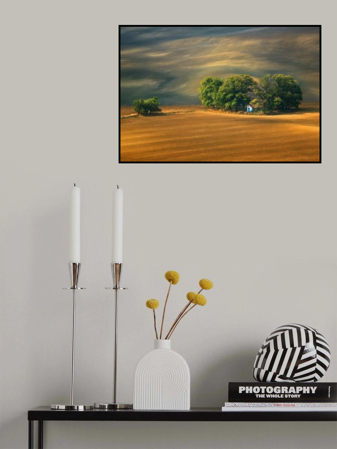 Fields... Poster och Canvastavla
