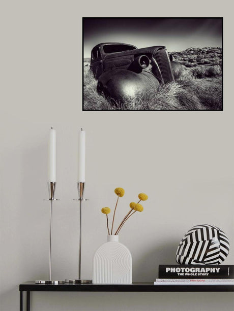 Disposed Poster och Canvastavla