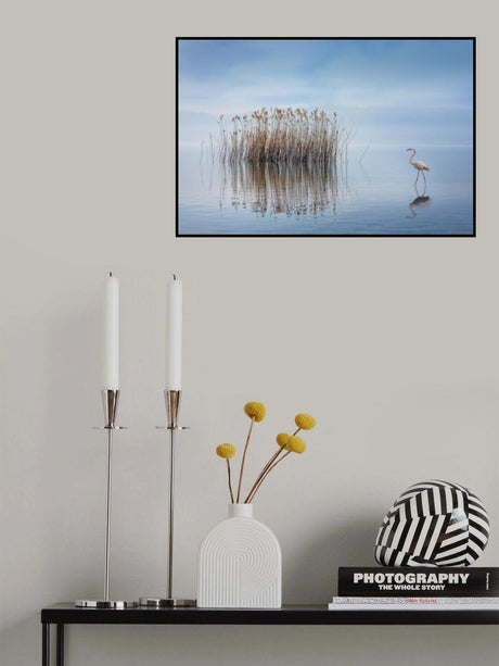 Volvi Lake Poster och Canvastavla