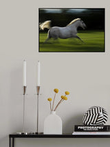 Winged horse Poster och Canvastavla
