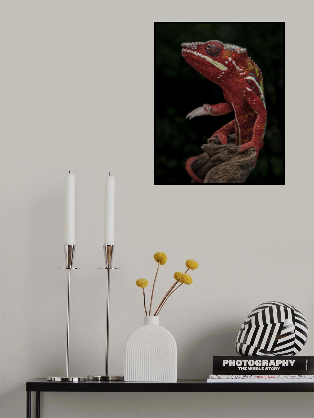 Want to shake hand Poster och Canvastavla