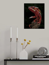 Want to shake hand Poster och Canvastavla